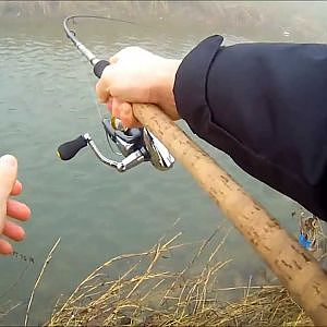 pesca spinning cavedani giganti