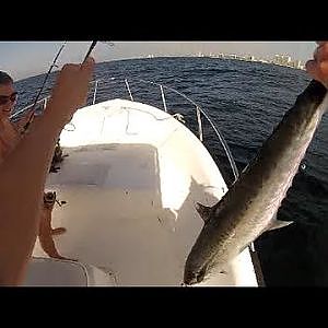 GoPro HD Big King Mackerel Catch