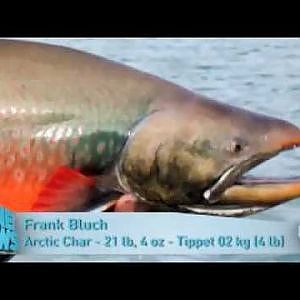 World Record Catches - Tiger Shark, Tarpon, Char
