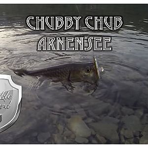 Chubby Chub Arnensee (Döbel/Alet)