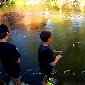 PHAL fiskar lite öring i ån