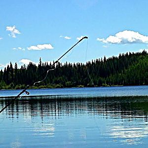 Rainbow Trout Fishing