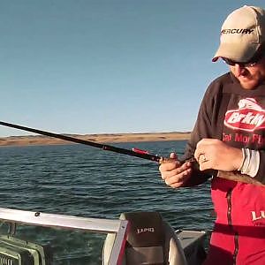 Fishing Tips. Trolling with Snap Weights. Nate Zelinsky Trout