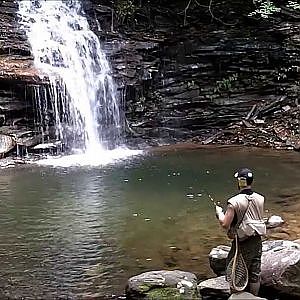 Summer Trout Fishing 2013 Pennsylvania