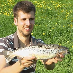 Fishing the spot - BACHFORELLEN