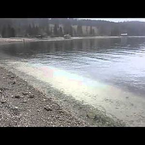 Walchensee - Seeforellen Hotspots - Angeln - Fischen - Fishing - Salmoniden