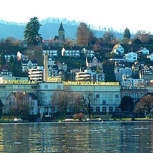 Seeforellen Zürichsee