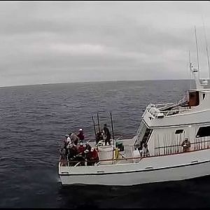 Apollo Bluefin Tuna Fishing Footage with Drone Quadcopter DJI Phantom