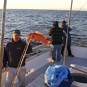 Reel Anglers Fishing Show - Pacific Islander to Santa Rosa
