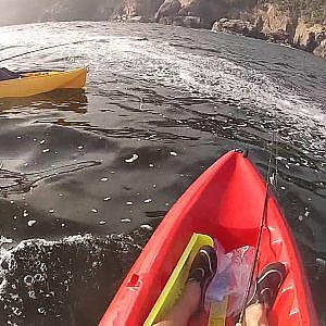 OCEAN COVE KAYAK FISHING 6/5/2014