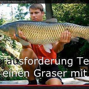 Die Herausforderung 8 - Fange einen 60cm Graskarpfen mit Pose