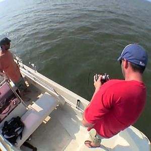 SHARK FISHING - 8 Foot Sand Tiger in the Delaware Bay