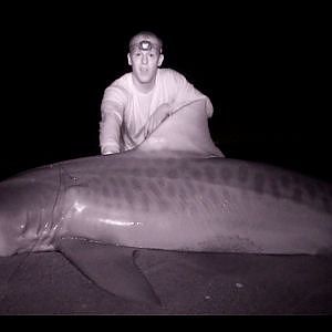 Team Rebel: Night Vision GoPro Shark Fishing