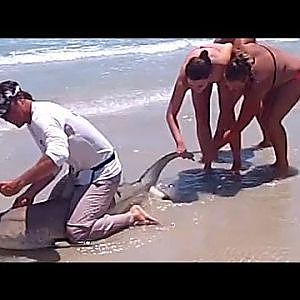 Shark Rodeo Man VS Blacktip Shark Fishing Daytona Beach 5-23-2012