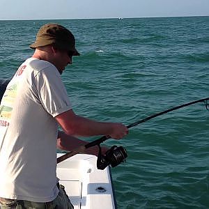 Catching a hammerhead shark off Sanibel Island beach (Cape Coral / Fort Myers Florida)