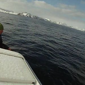 Fishing for halibut with Lars & Espen #1 2010 HD 720p