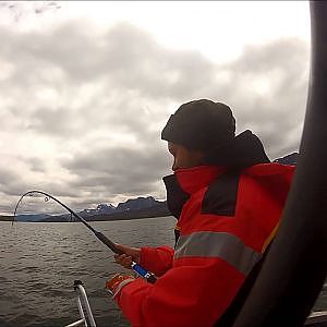 Hammer Heilbutt Drill in Norwegen 2014 by Np-Angelsport!