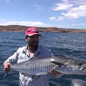 How to catch spanish (king) mackerel, The average angler fishing adventures