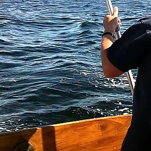 Mackerel fishing in Norway
