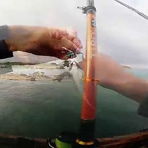 Spanish mackerel | Erez Cohen Spinning Fishing