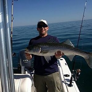 Live-lining Mackerel for Striped Bass -- Cape Cod, MA