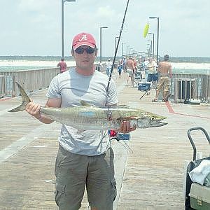 King Mackerel and Sharks - High Speed Hunters