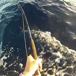 fishing  - THE HUGE spanish mackerel