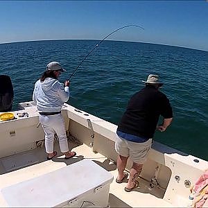 Spanish Mackerel fishing using live Shrimp