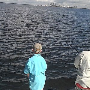 Mackerel fishing on tampa bay