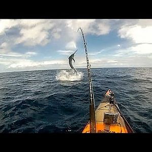Catching Marlin from a kayak, Coffs harbour