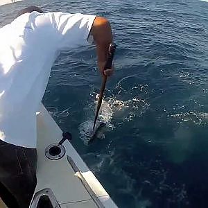 Fishing in Cabo San Lucas - Marlin Fishing in Los Cabos, Mexico