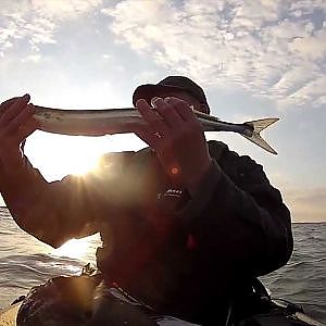 Hornfisk fra Kajak Tim J Outdoor