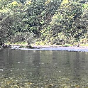 Fishing on Drina River, Serbia - Fishfly.ru