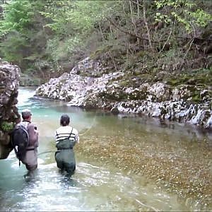 Lustrik Fly fishing Slovenia, big Marble trout, April 2013