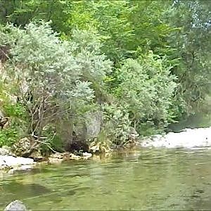 Lustrik   Fly fishing Slovenia July 2013, Marble trout, Andy