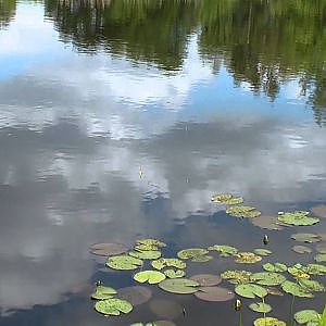 Angeln auf Karausche u Schleie