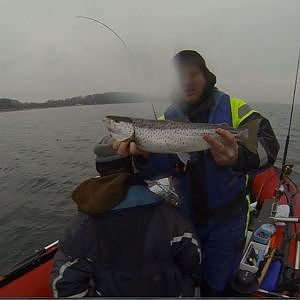 Meerforelle Trolling Ostsee im Schlauchboot 2014