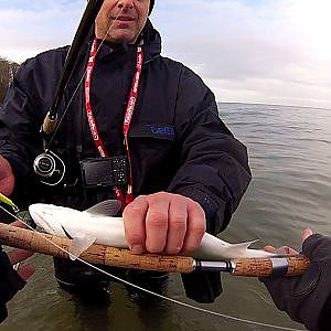 Spinnfischen 12: ASV Hillerse goes Meerforelle an der Ostsee Teil II