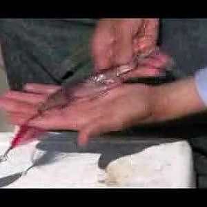 Great Flounder Rigging - How to Catch Flounder - Fluke Fishing