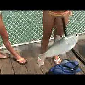 Flounder Fishing Fort Walton Florida Fishing Pier