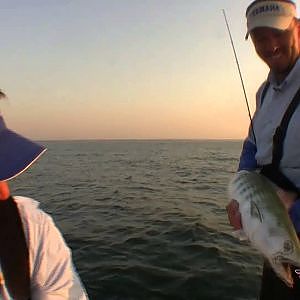 Carolina Fishing TV - Season 3/3 - Late Spring Bonito & Flounder