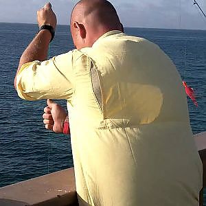 Saltwater Pier Fishing in Florida - Bald man catches Tuna