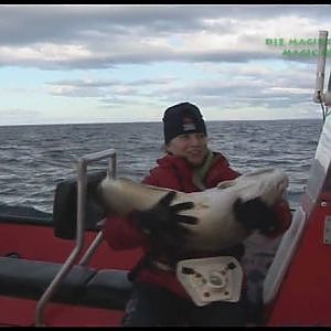Magic of the North - Magie des Nordens - DEEP SEA FISHING