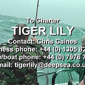 Weymouth Tiger Lily Pollock and Plaice trip