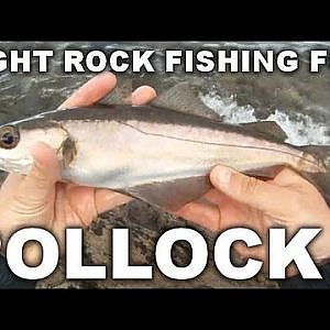 GoPro HD: Light Rock Fishing for Pollock with Lures. N Ireland