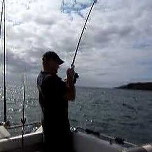 Pollack Fishing Luce Bay