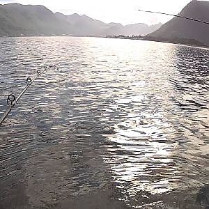 Sei fiske på Romsdalsfjorden