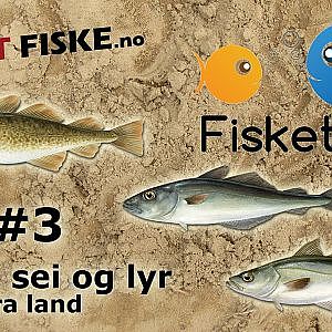 Fisketips #3 med Skitt Fiske - Fiske torsk, sei og lyr
