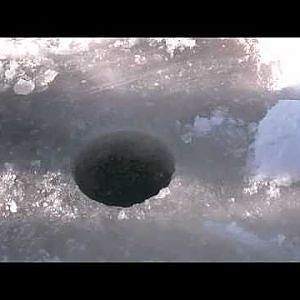 Door County Lawyer/ Burbot Green Bay Ice Fishing 2-28-11