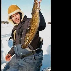 Mating Sounds of the Mighty Burbot?